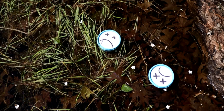 worm containers thrown in water