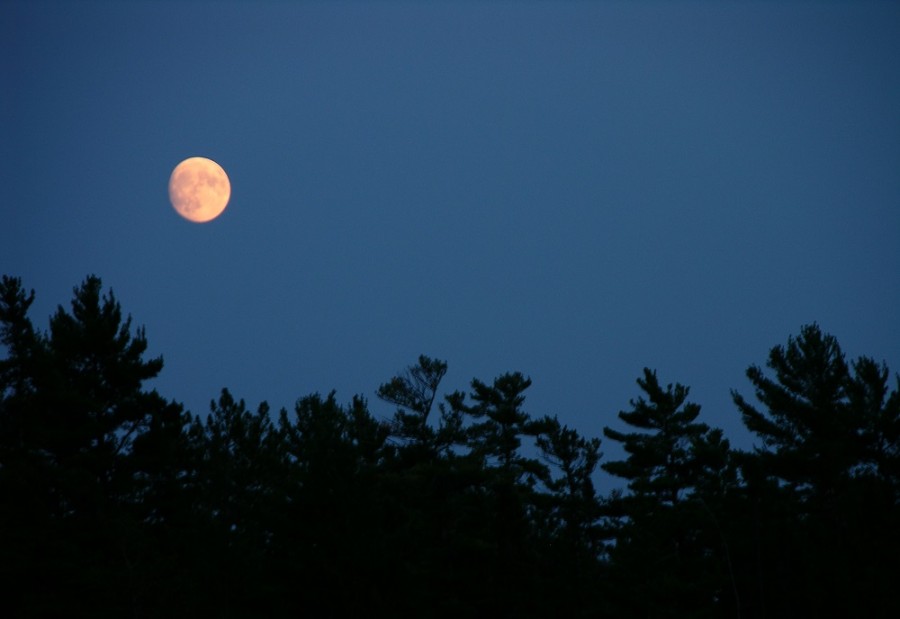Orange moon in a dark blue sky