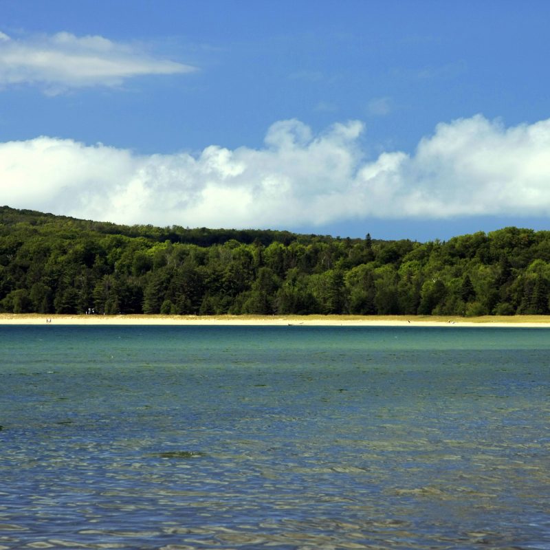 sunny day on the beach