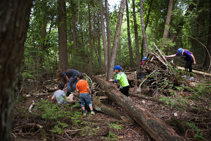 Children in the forest