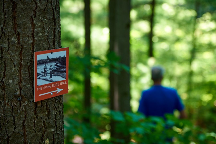 Trail sign on a tree