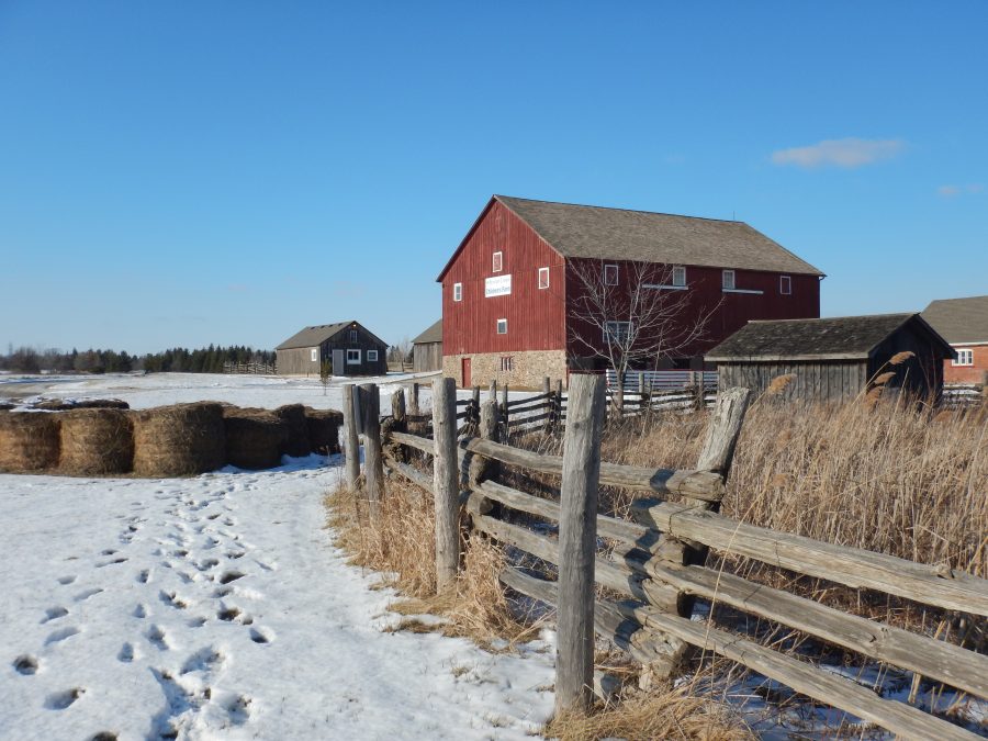 Bronte Creek playbarn in winter