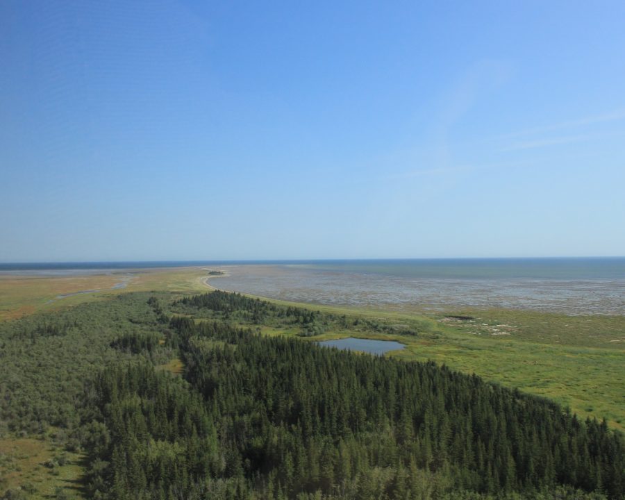 Aerial field view