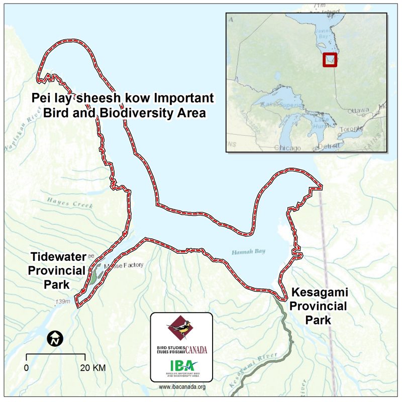 Map of the IBA