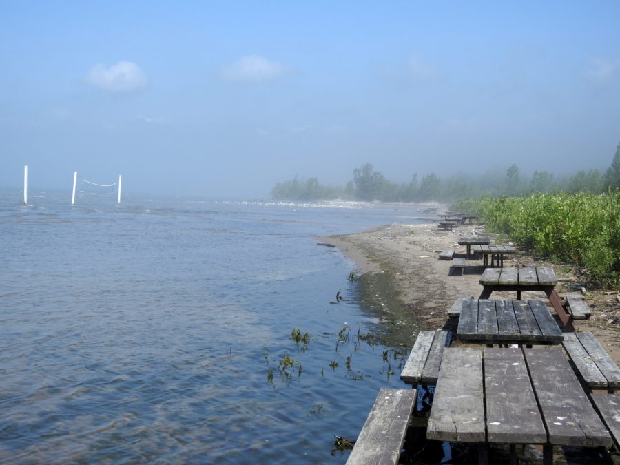 flooded beach