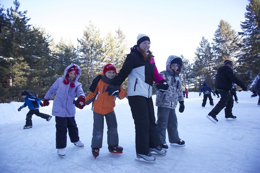 Family skating