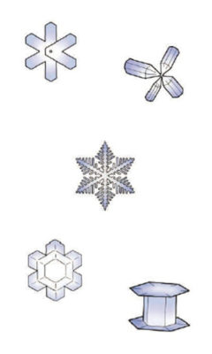 Short: illustrations of 5 different snowflakes Long: snowflake with 6 squared-off sides, snowflake with four cones attached at tips in centre, snowflake with 6 sides with many fractals on each side, snowflake with large 6-sided interior and fractals on tip of each side joined together, 6-sided tube snowflake sandwiched by two flat 6-sided parts on each end.