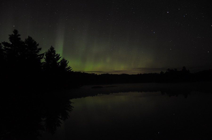 Northern lights over lake and forest