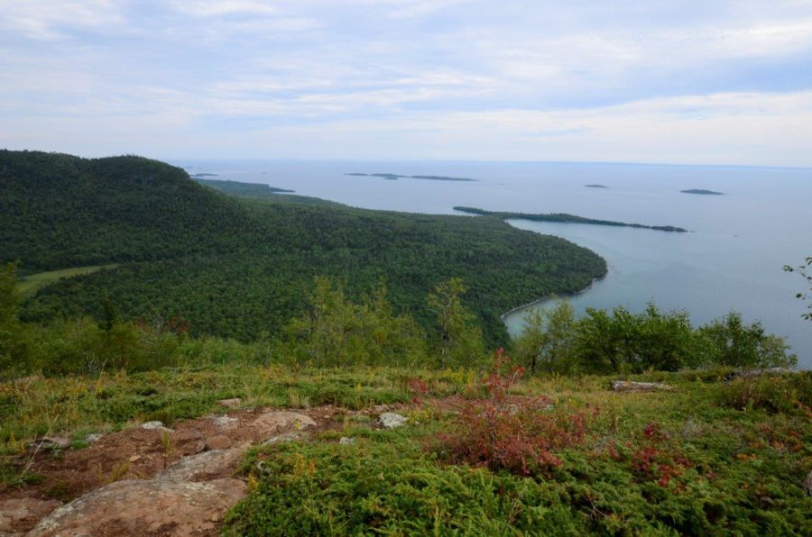 View of forest and lake