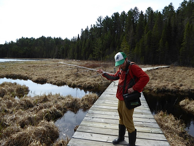 Man uses tracking technology to track birds