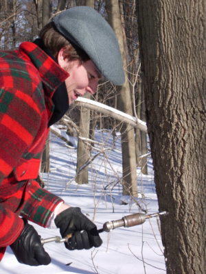 Man drills into tree