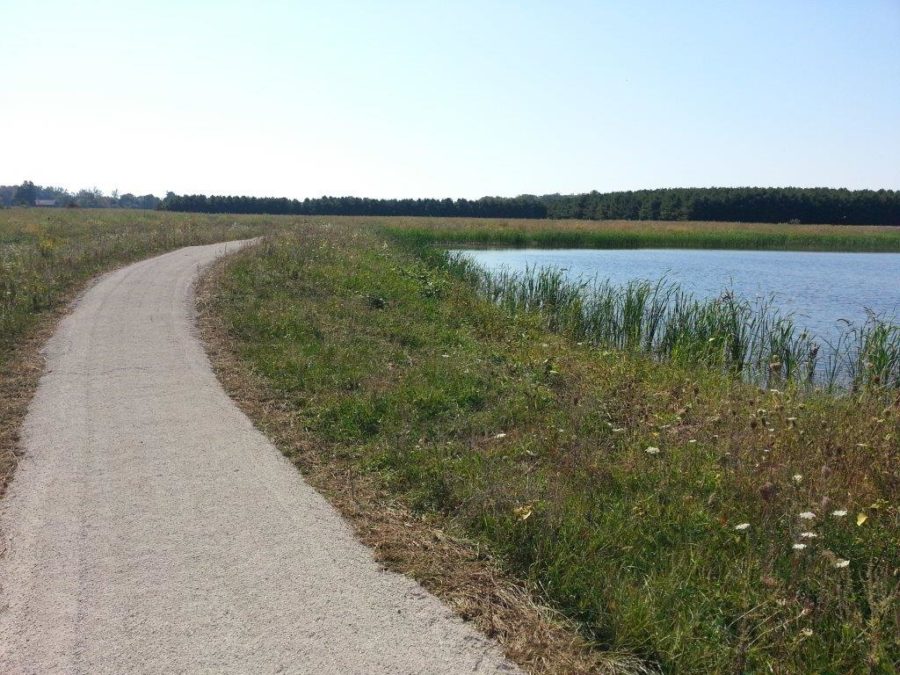 trail beside water