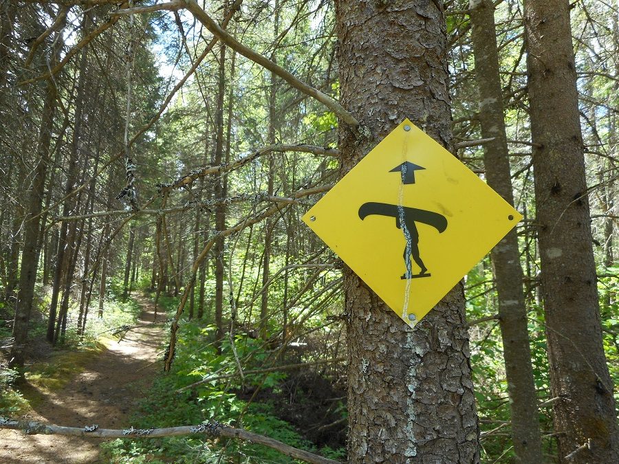 Portage sign on tree