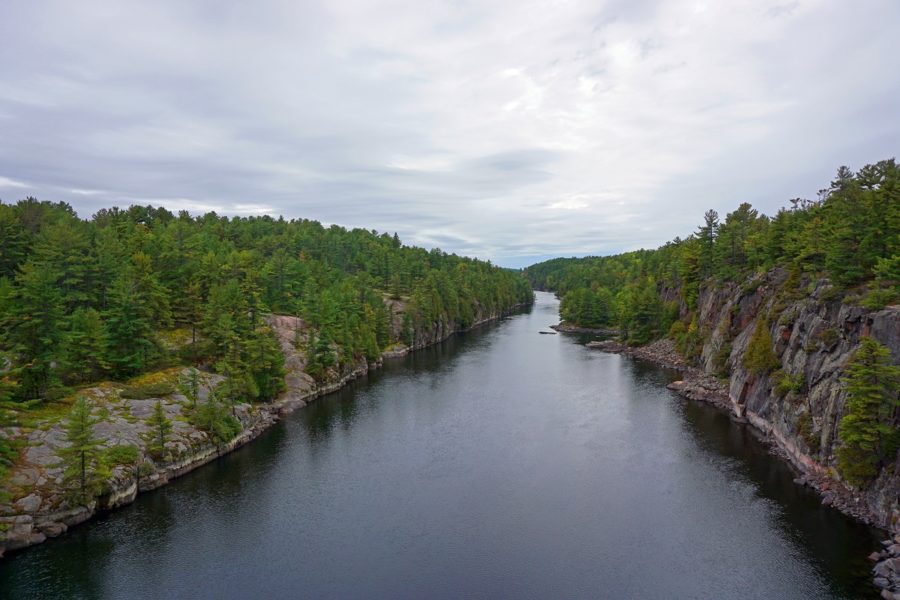 tree-lined gorge