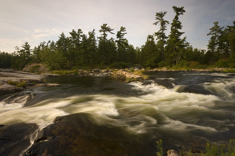 Rapids in river