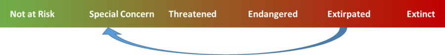 chart showing scale of endangered species