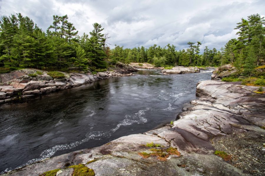 rocky shoreline of river, forest