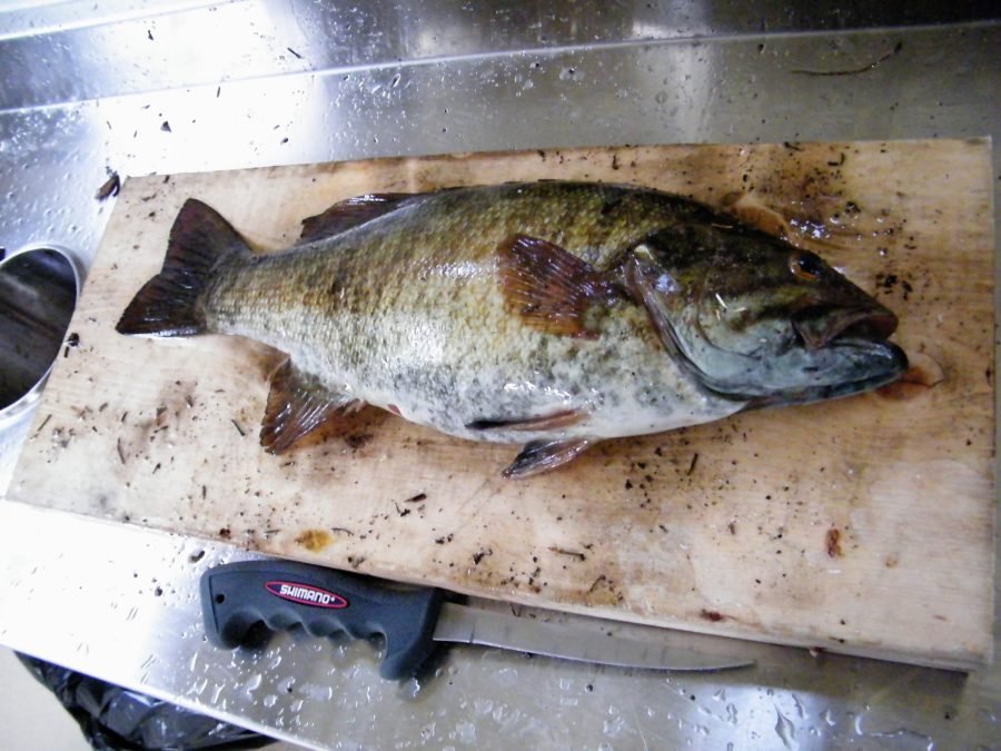 bass on cutting board