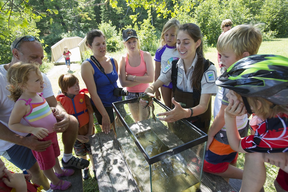 staff showing visitors bullfrog in tank