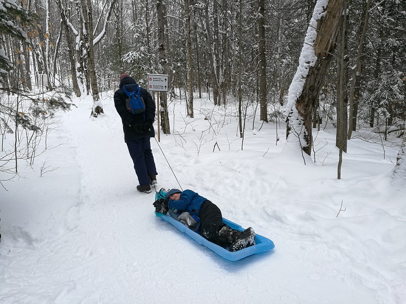 Pulling Finnan on sled