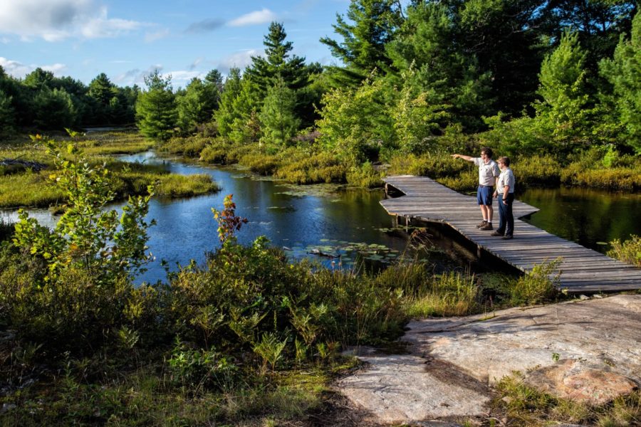 people on trail by wetland