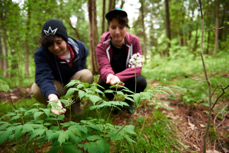 Young couple touching plants in the woods