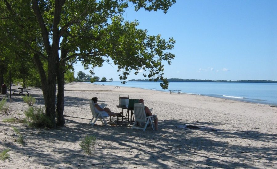 lawnchairs on beach under tree