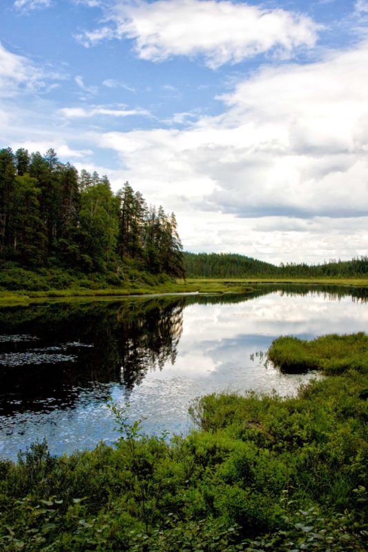 Small lake with blue sky and clouds reflecting in the water. tall mixed forest to the left and in the far background. Low greenery surrounds the water.