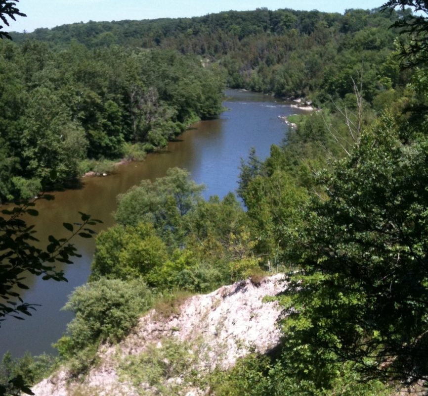 A river is depicted running through a deciduous forest from above