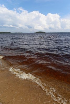 Sandy shoreline looking out over lake with blue sky above