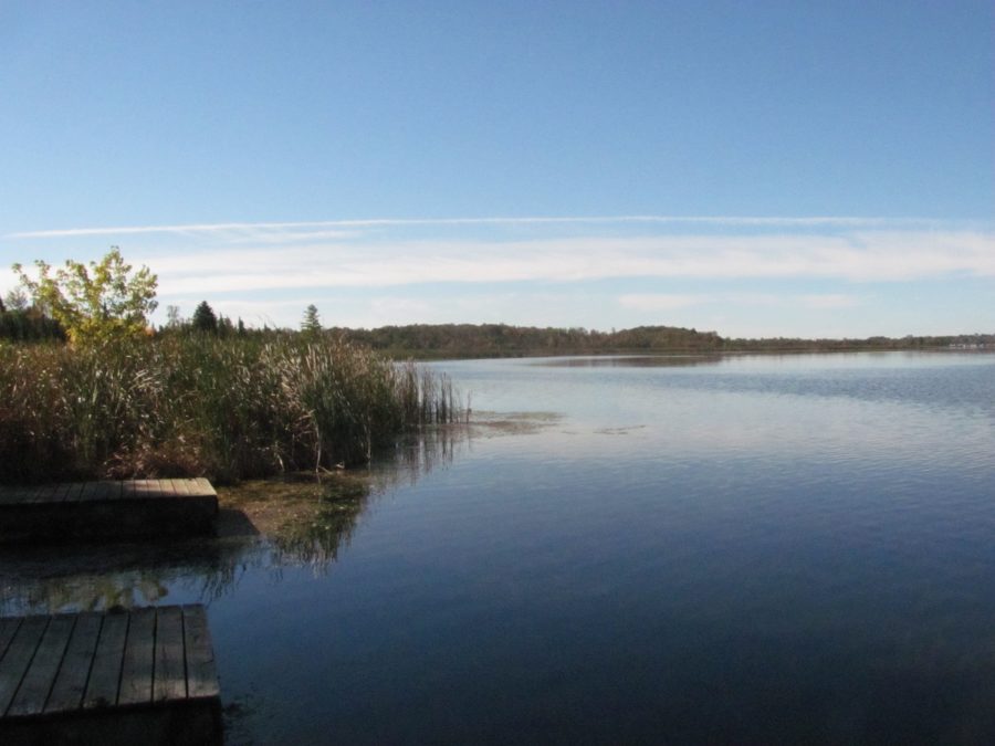 body of water with a forested shoreline in the early evening