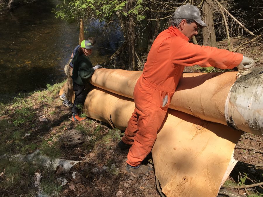 two men stripping bark from log