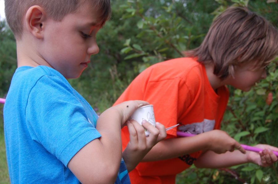 Two boys in bright t shirts, one with a dixie cup and a big on his hand, and one with a pink net probing a shrub