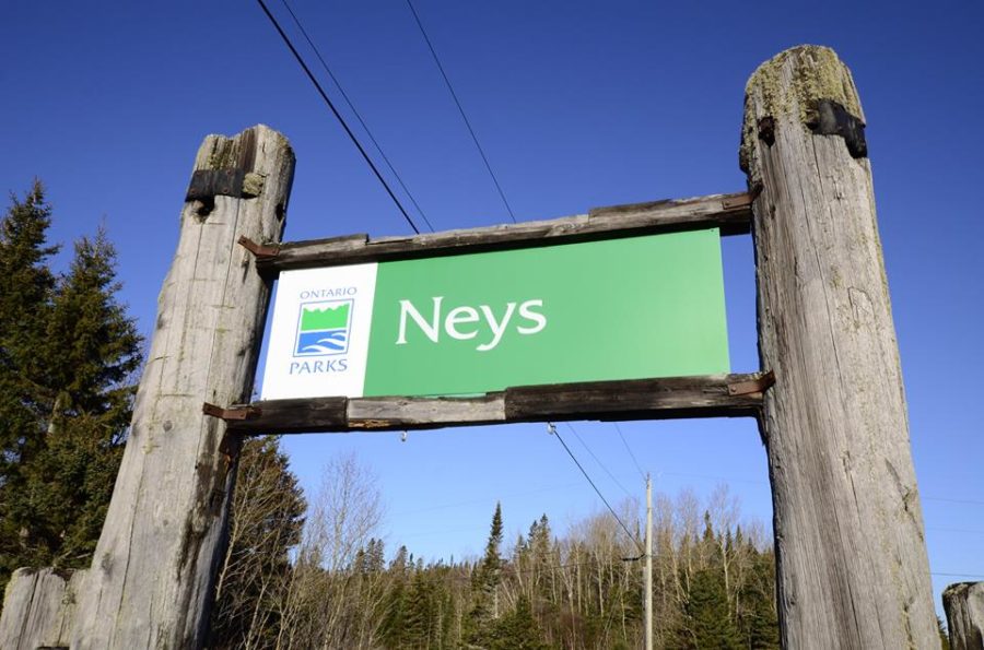 Green Neys sign with the Ontario Parks logo, being held by two large logs on a clear afternoon in the winter.