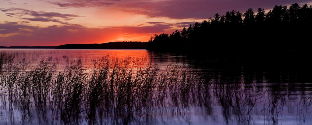 Lake at sunset with reeds in the foreground of the lake, and a forested hill in the background