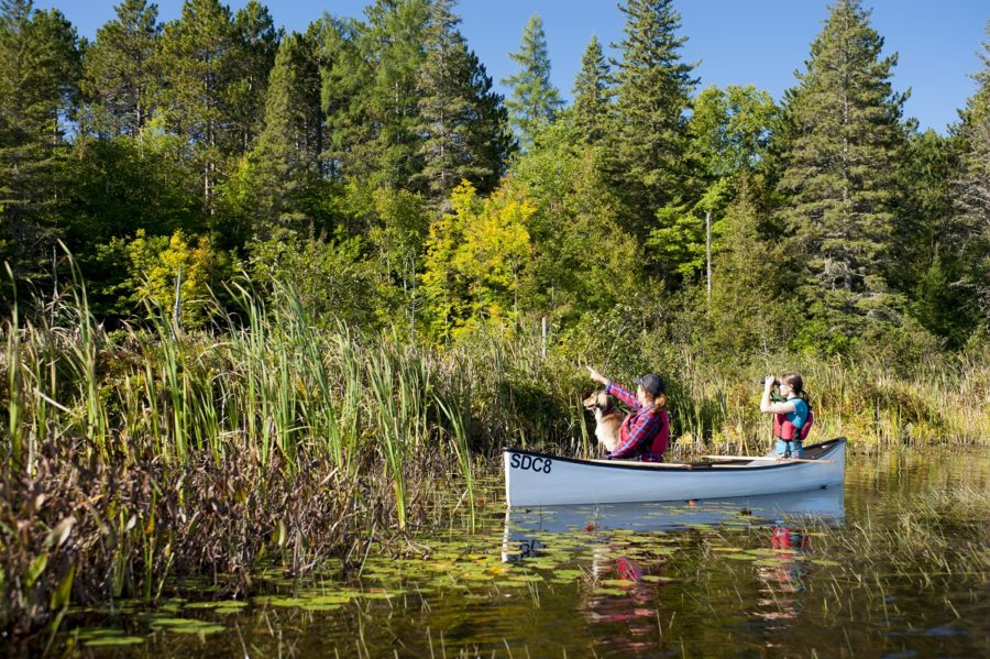 Two people in a light blue canoe by a shoreline looking up at a forest with binoculars