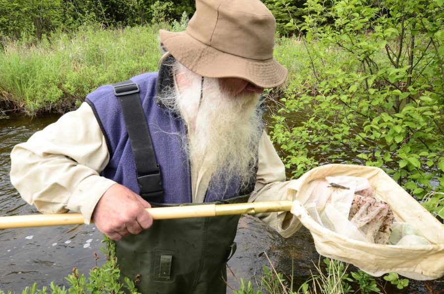 Bearded gentleman with hip-waders in a stream looking at a net