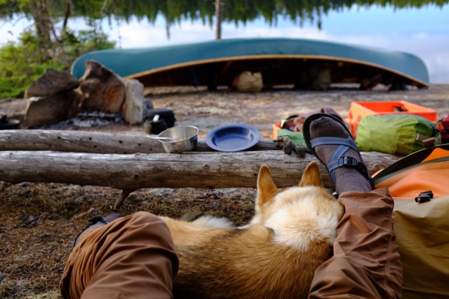 Campsite including dog, camp gear, and canoe