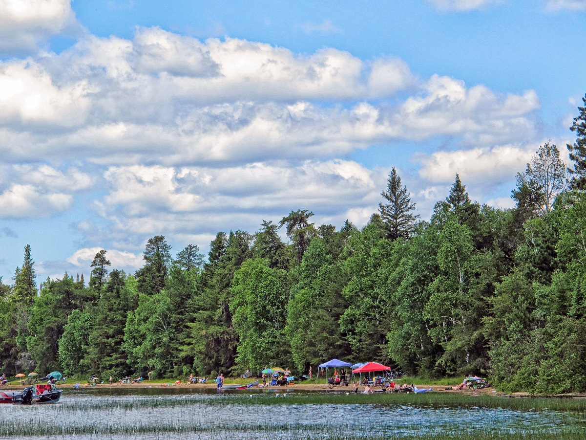 Sunny beach in the foreground of a green forest