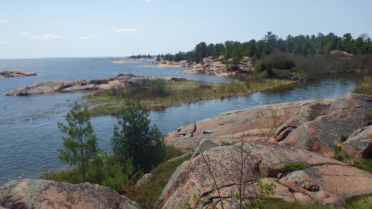 Pink rock shoreline with conifers lining blue lake on a clear day