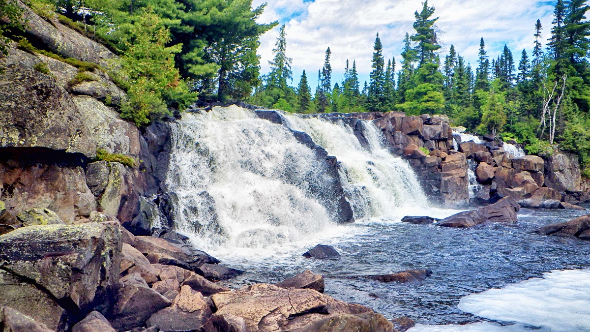 Boreal fall-scape