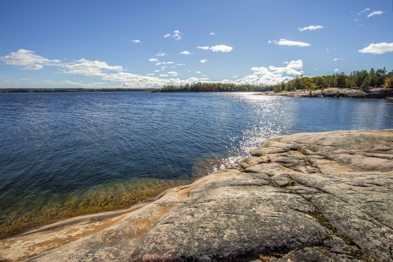 The sun shimmering off a dark blue lake with a tree-lined shore in the distance