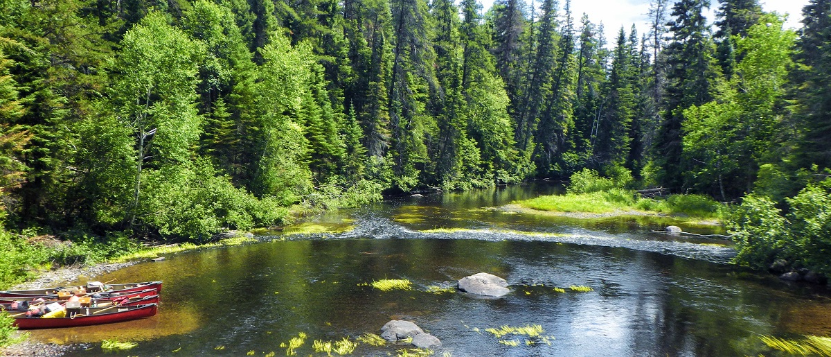 A river with canoes on shore at a small rapid