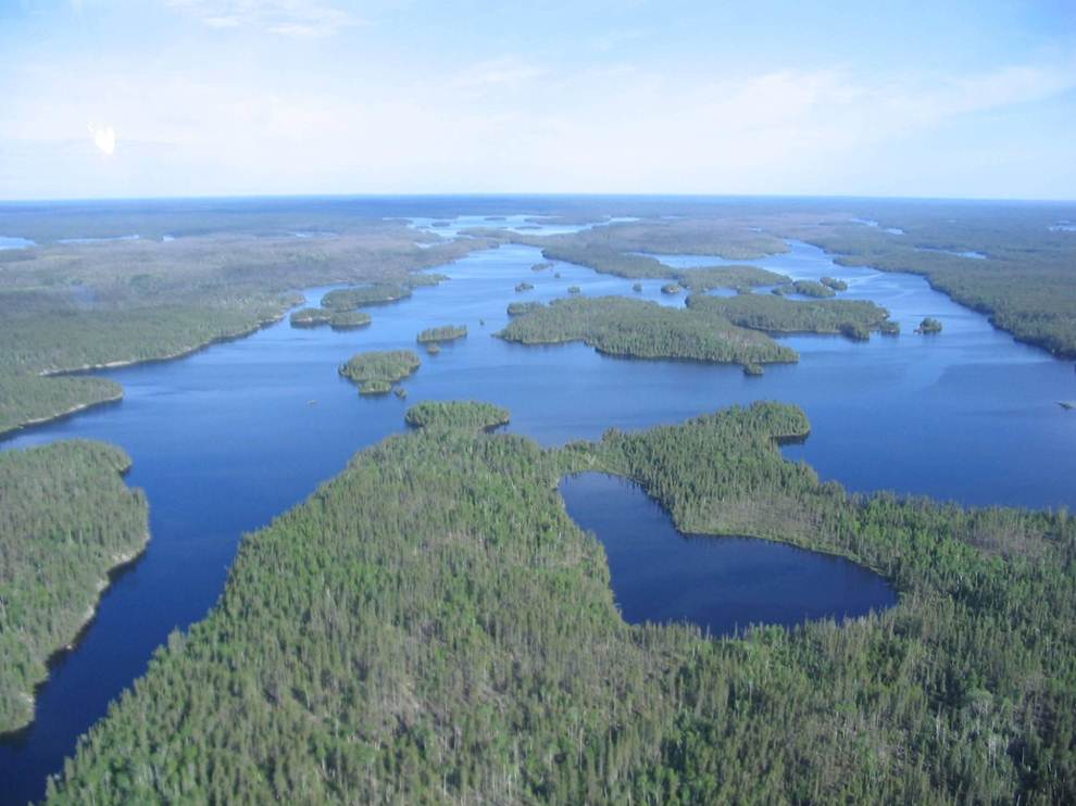 Arial view of the park (water and forest)