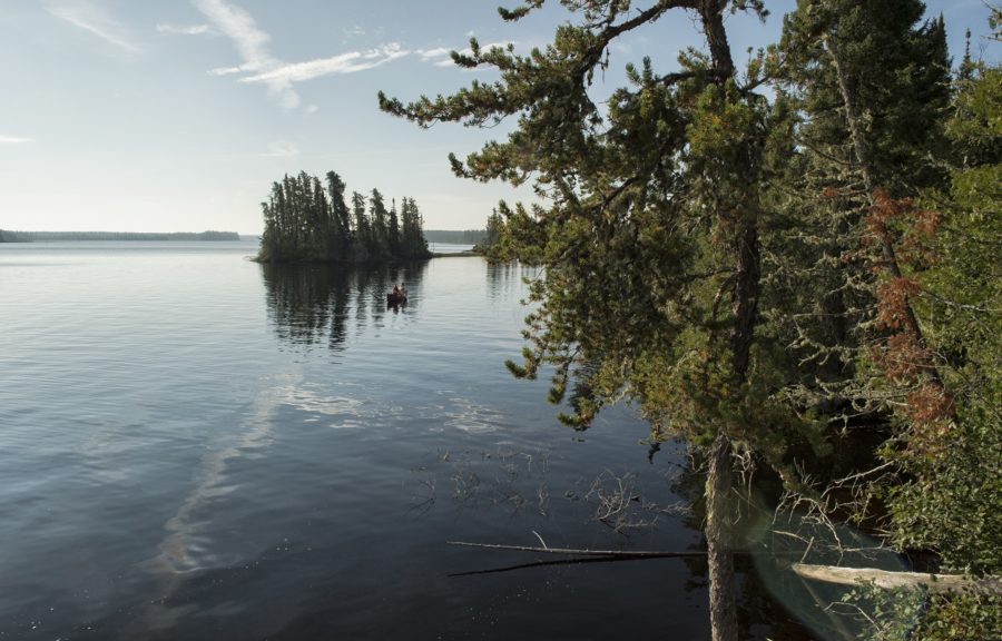 Shoreline with conifers and grey blue sky