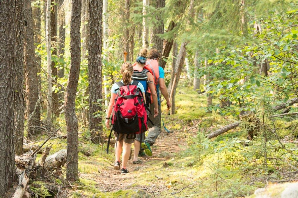 People hiking along a trail