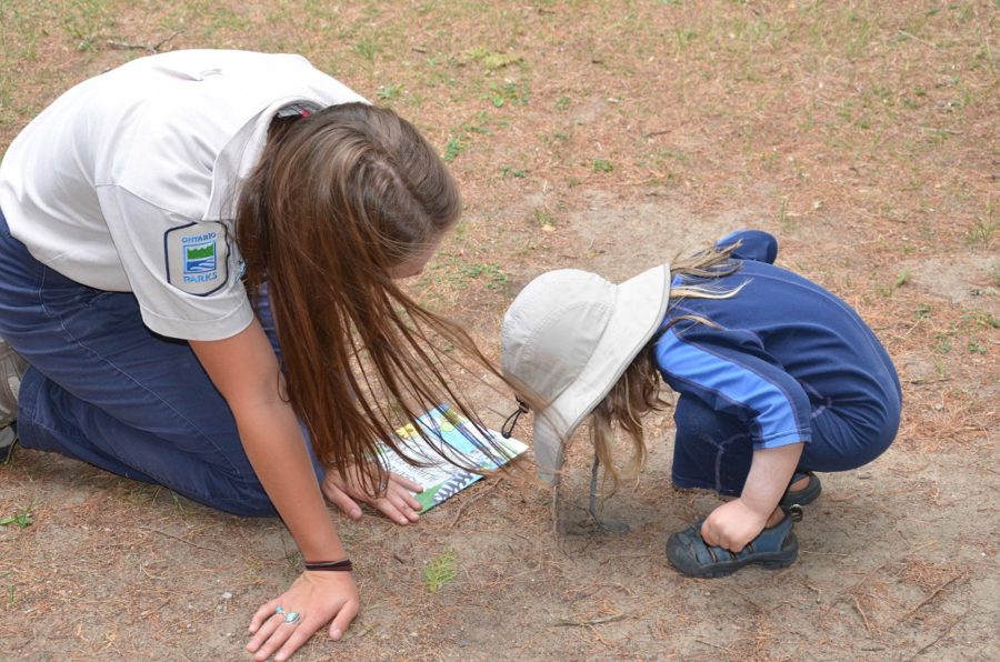 Ontario parks staff looking on the ground at something with a small child