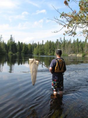 Ontario parks staff in hipwaders with a net in the lake, on the lookout for dragonflies