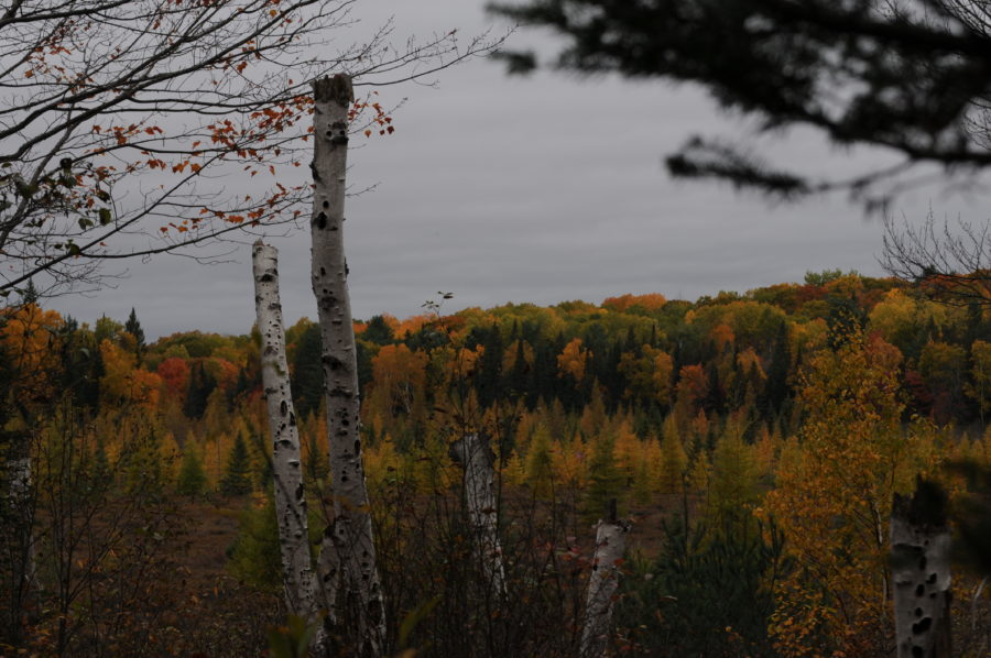 fall colours lookout