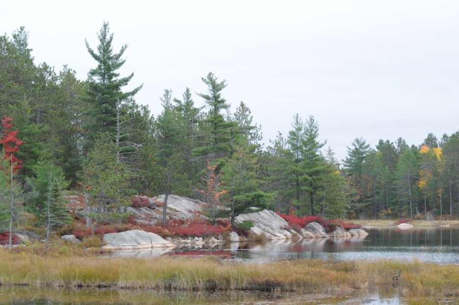 Abes & Essens Hiking Trail in fall